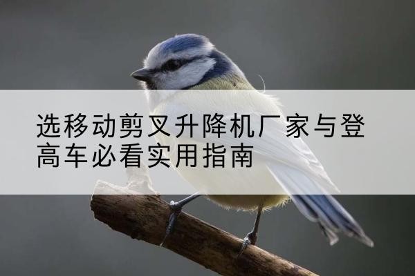 虹口区电动升降机厂家-选移动剪叉升降机厂家与登高车必看实用指南