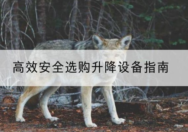 虹口区升降货梯厂家推荐-*安全选购升降设备指南