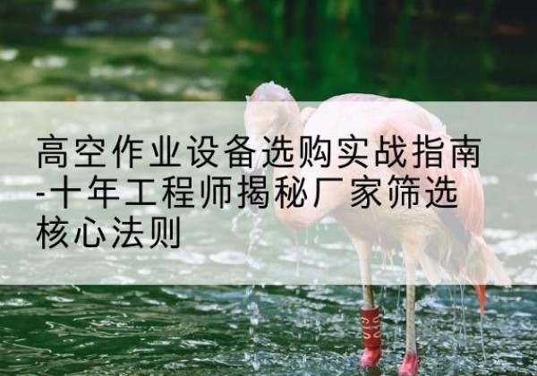 虹口区剪叉式升降机厂家-高空作业设备选购实战指南-十年工程师揭秘厂家筛选核心法则